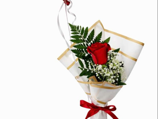 Rosa & Amor Elevado