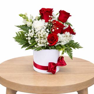 BOX ILUCION vermelho