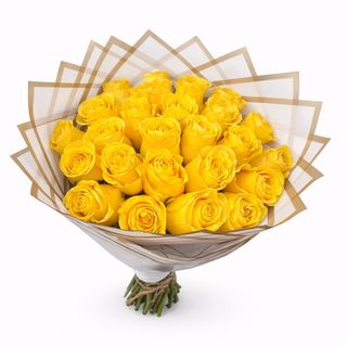 Rosa do Equador primavera