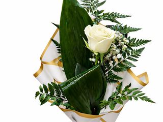 Rosa Individual blanca