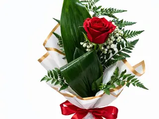 Rosa romántica