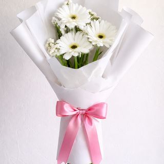 Romance Suave 002