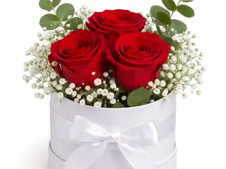 Sussurro de Rosas