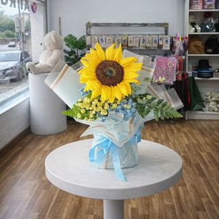 Encanto Girasol