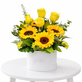 Golden Sun Box