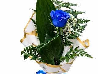Promessa Azul