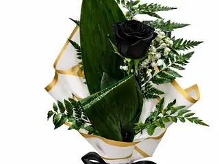 Preto Imperial