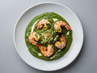 Camarão Saag