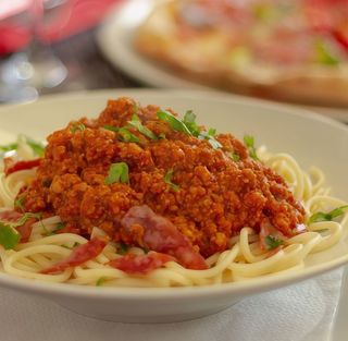 Bolognese
