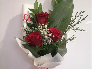 Encanto de rosas