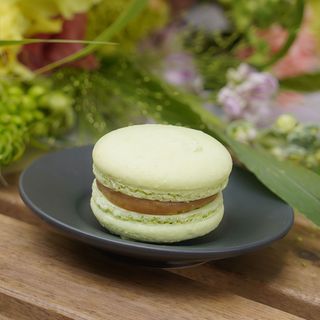 Pistachio macaron