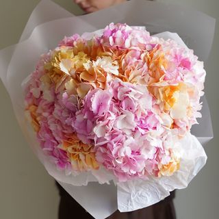 Bouquet de Hortênsias Rosa M