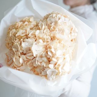 Bouquet de Hortênsias Claro S