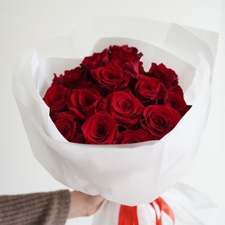 Red Roses  M
