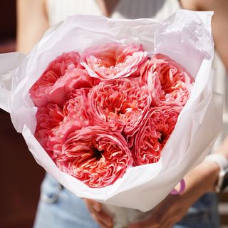 Simple Roses Jardim