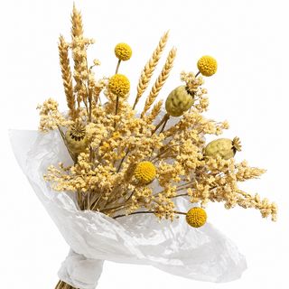 Dried flowers Magic field