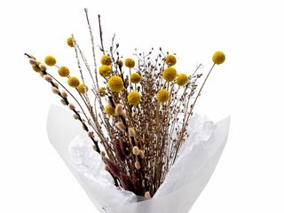 Dried Flowers Yellow