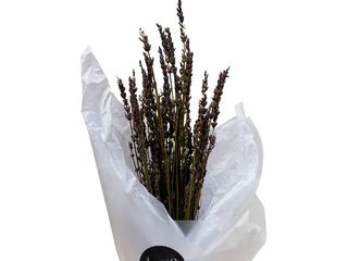 Dried Flowers Lavender