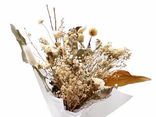 Dried Flowers White
