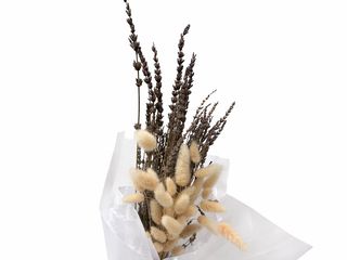 Dried Flowers Soft