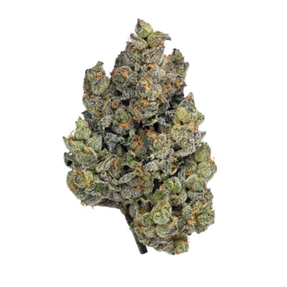 Zushi H4CBD 5g
