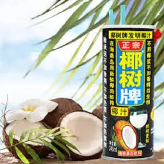 Leite de coco 245 ml