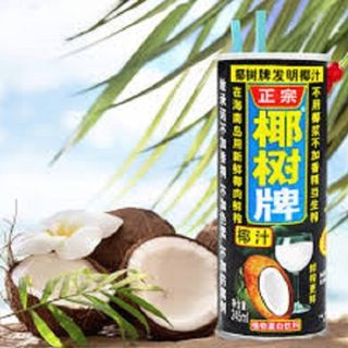 Leite de coco 245 ml