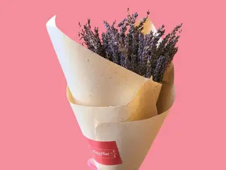 LAVANDA