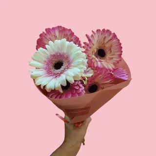 CONE DE GEREBERAS