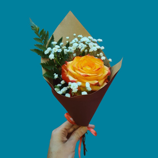 1 ROSA FOGO