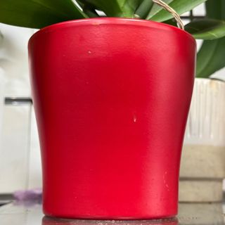 Vaso pequeno vermelho 