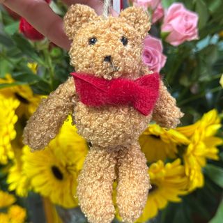 Ursinho de peluche pequeno