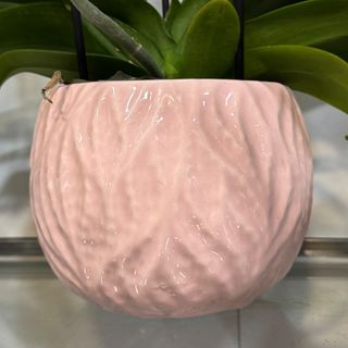 Vaso médio rosa bebé arredondado com nervuras 