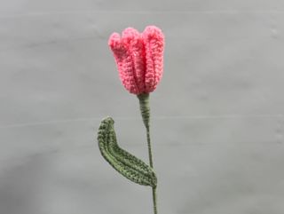 Tulipa rosa em crochet