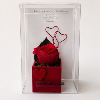 Rosa preservada com cubo magnético