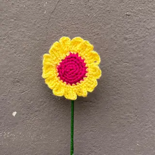 Margarida amarela e fuscia