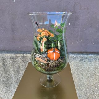 Arranjo de plantas em jarra de vidro alusivo ao Halloween  