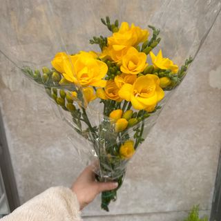 Molho de fresias amarelas