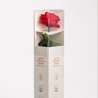 Rosa preservada grande