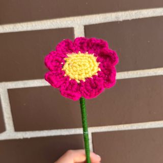 Margarida rosa fúcsia e amarelo