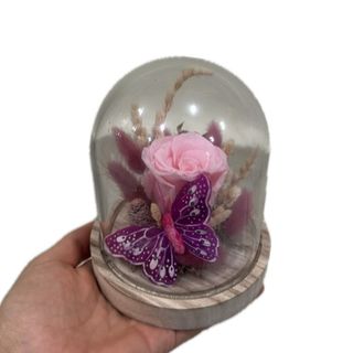 Campânula de vidro com rosa preservada cor de rosa bebé 