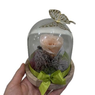 Campânula com rosa preservada bege 