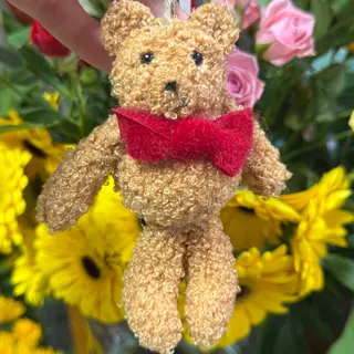 Ursinho de peluche castanho pequenino