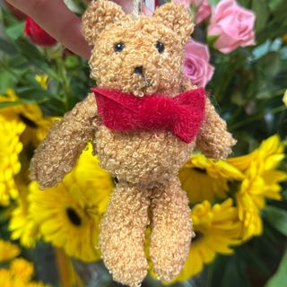 Ursinho de peluche castanho pequenino