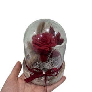 Campânula pequena com rosa preservada vermelha 