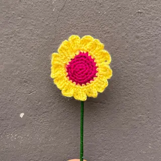 Margarida amarela e fuscia
