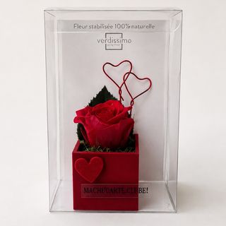 Rosa vermelha preservada com cubo magnético