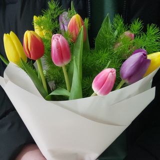 Dia da Mãe