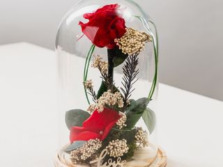 Rosa eterna Vermelha