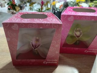 caixa com uma flor de orquidea